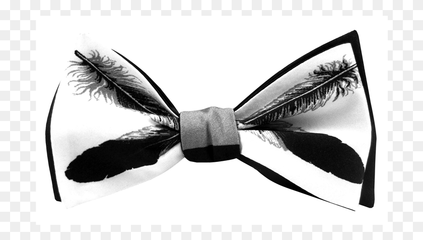 700x416 Patricia Michaels Bowtie To Benefit Marriage Equality Insect, Tie, Accessories, Accessory HD PNG Download