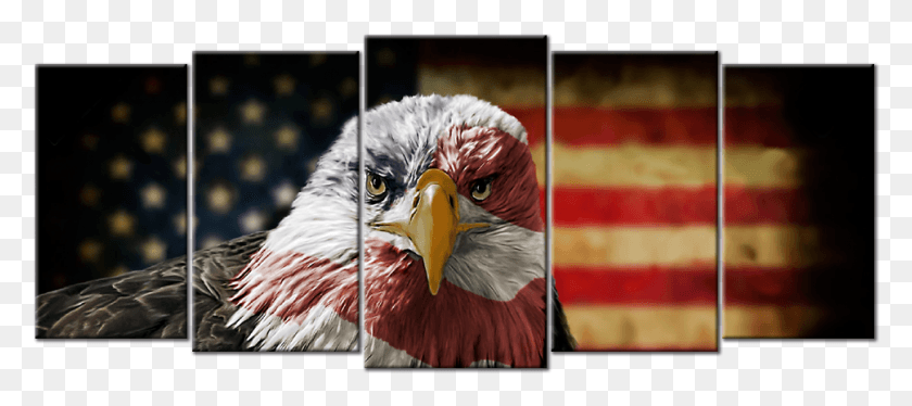 970x391 Descargar Png Bandera Patriótica Estadounidense Con Águila Extra Grande 5 Paneles 5 Paneles Lienzo 92 X, Pico, Pájaro, Animal Hd Png