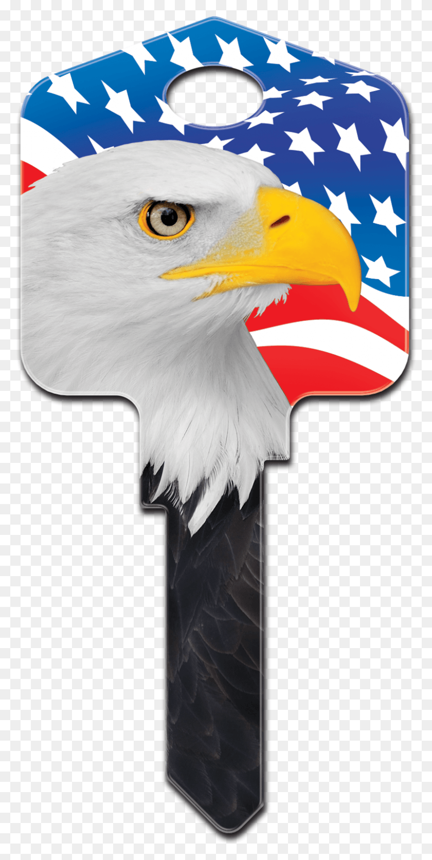 801x1656 Patriotic Kl1 Can Patriotic Key, Eagle, Bird, Animal HD PNG Download