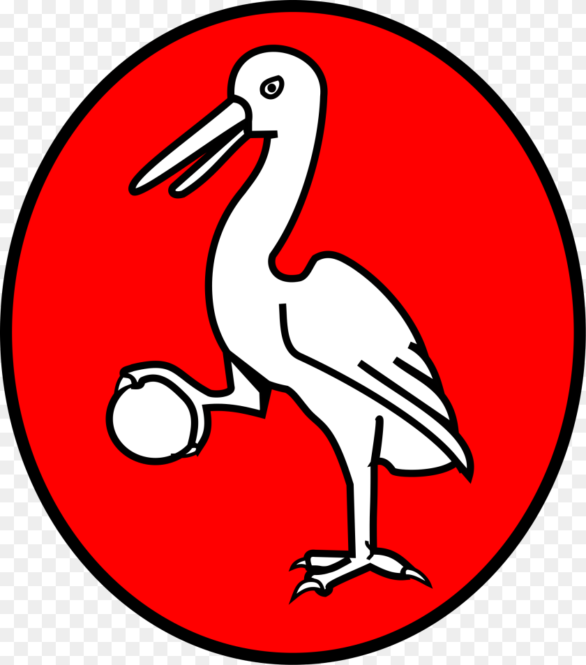 Paus Coa, Animal, Bird, Waterfowl PNG