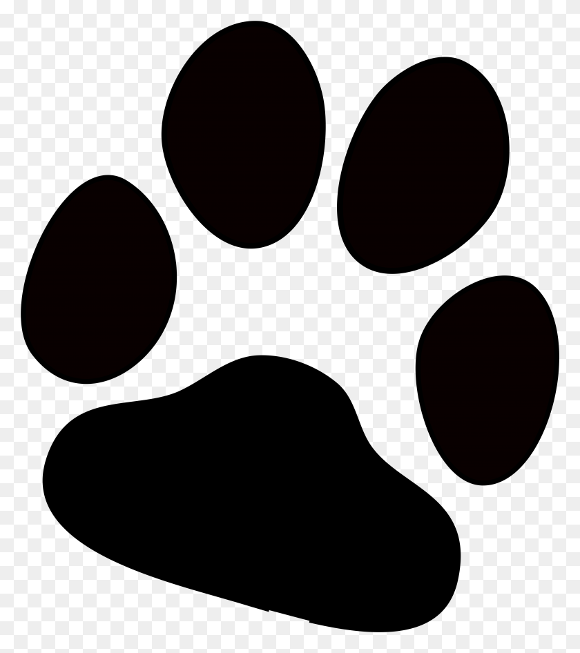 6470x7357 Paw, Outdoors HD PNG Download