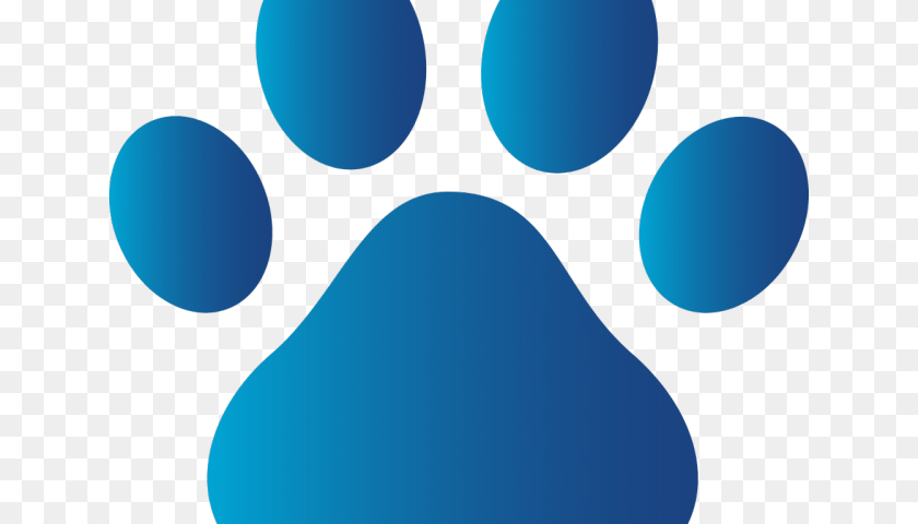 640x480 Paw, Turquoise PNG