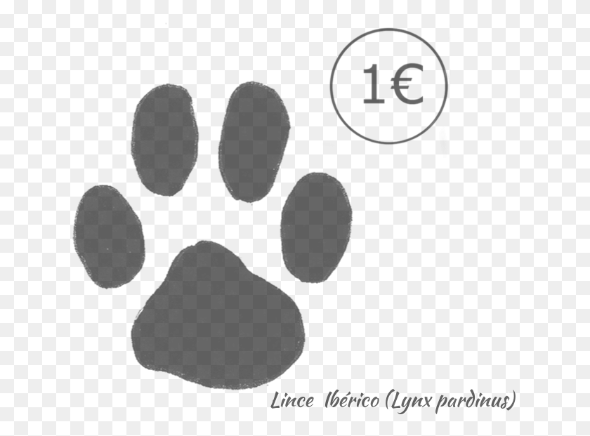 636x561 Paw Print Background Simple, Outdoors, Nature, Astronomy HD PNG Download