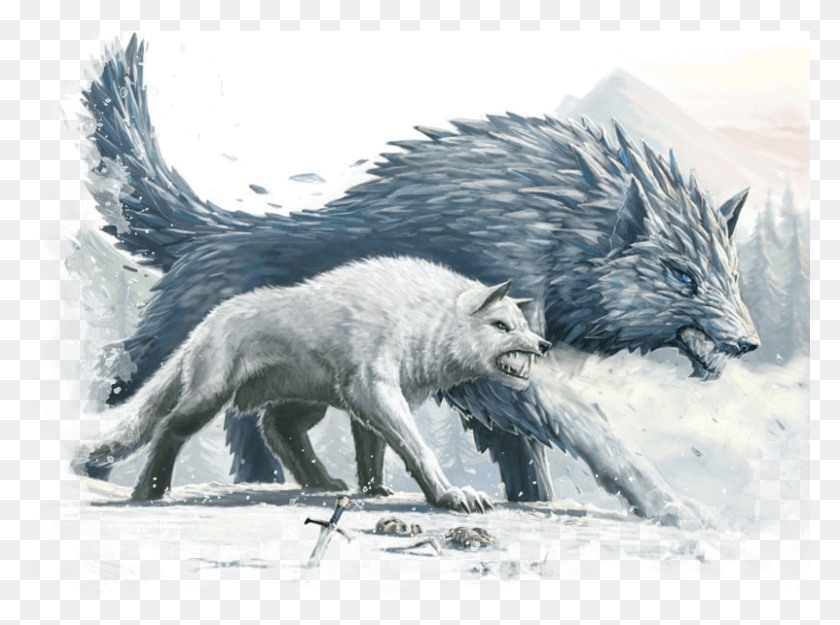 801x581 Лапа Принт Прозрачный Зимний Волк 5E Стат Блок, Млекопитающее, Животное, Птица Png Скачать