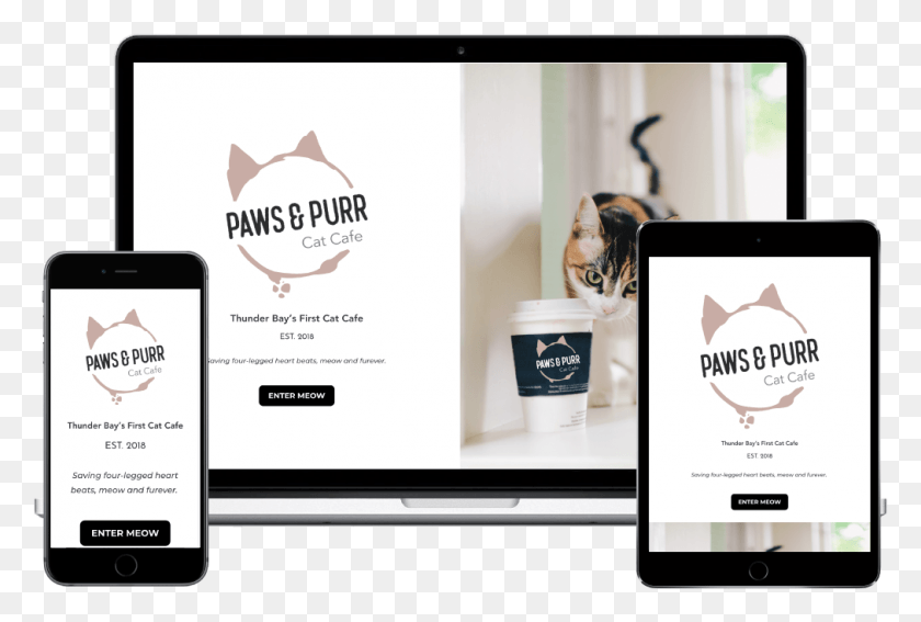 1012x658 Paws And Purr Hair Care, Text, Electronics, Computer HD PNG Download