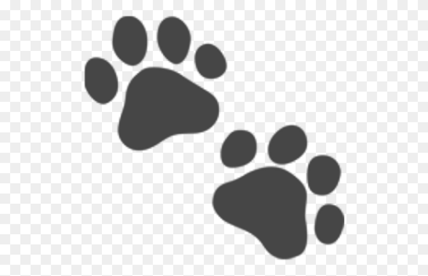 512x482 Paws Footsteps Footprints Animals Pets Dog Cat Paw Print Emoji, Footprint HD PNG Download