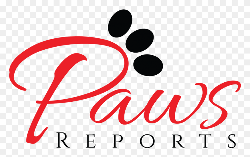 935x561 Paws Reports Graphic Design, Text, Plant, Alphabet HD PNG Download