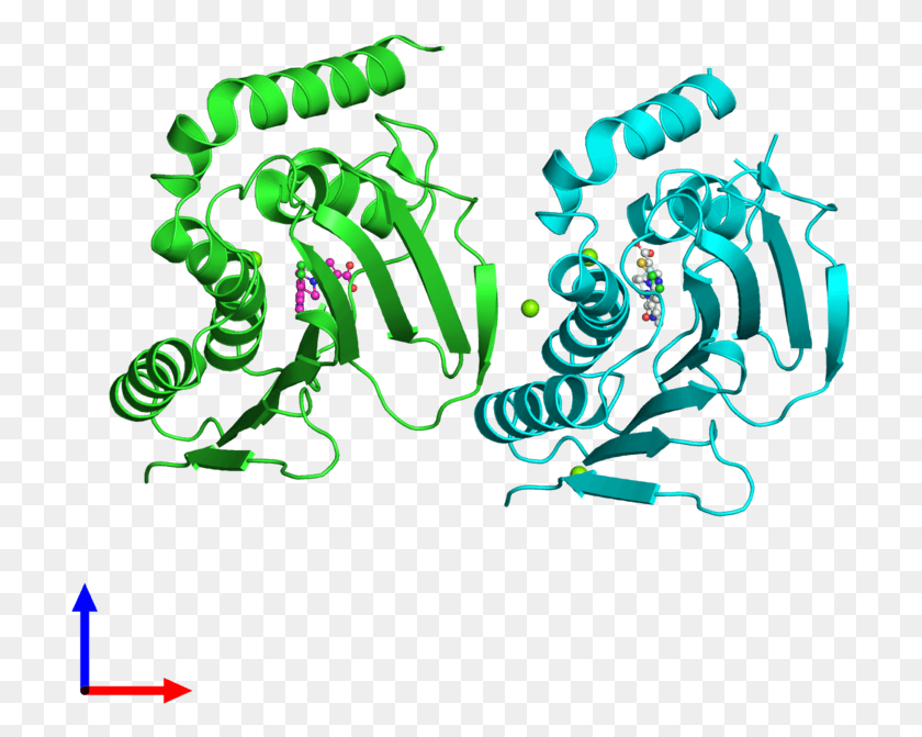 711x611 Pdb 3ttz Coloured By Chain And Viewed From The Front Graphic Design, Light, Neon, Graphics HD PNG Download