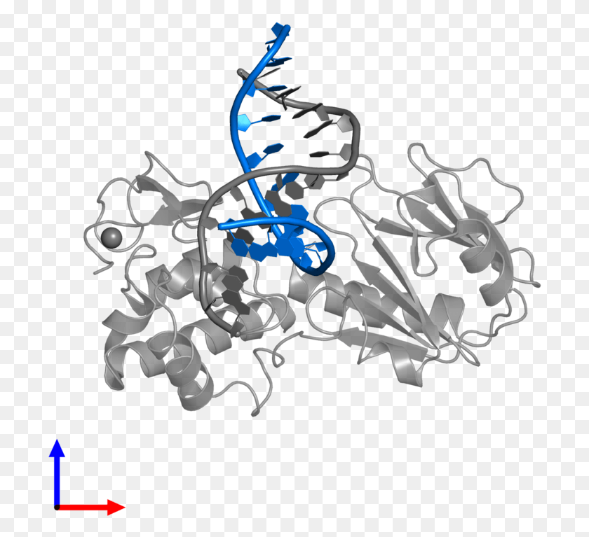 704x707 Pdb Entry 3gpp Contains 1 Copy Of Dna Pgpaptpcptpapc Graphic Design, Graphics HD PNG Download