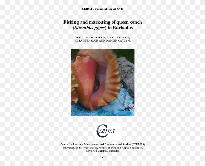 348x622 Pdf Conch, Seashell, Invertebrate, Sea Life HD PNG Download