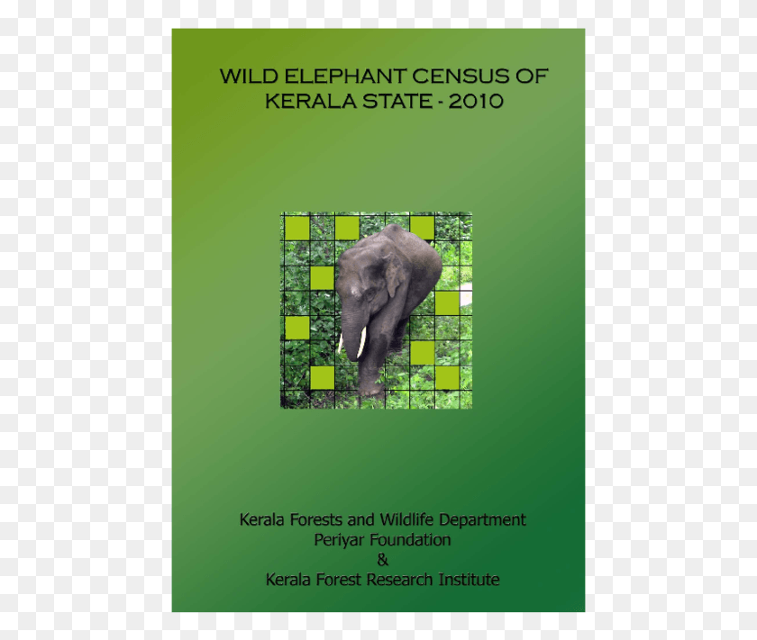 461x651 Pdf Индийский Слон, Дикая Природа, Млекопитающее, Животное Hd Png Скачать