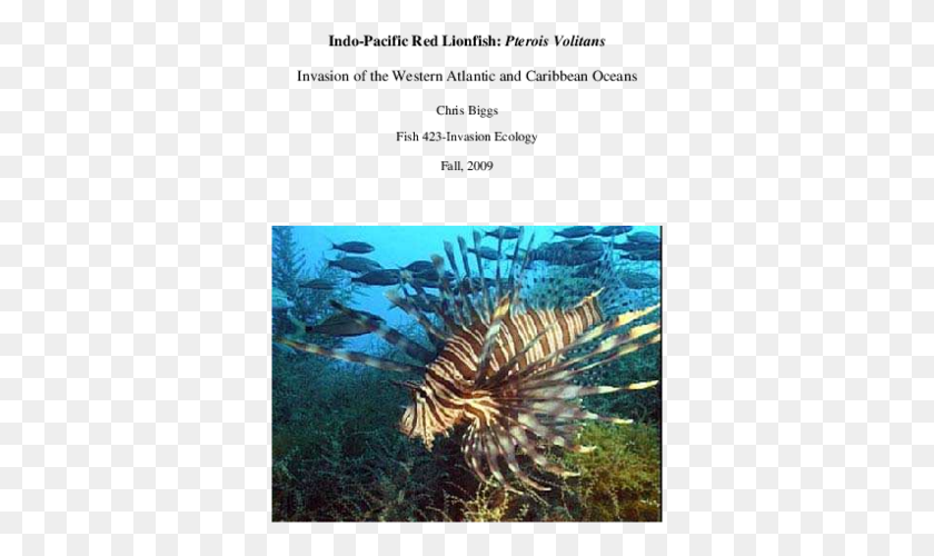 353x440 Pdf Lionfish Florida, Sea, Outdoors, Water HD PNG Download