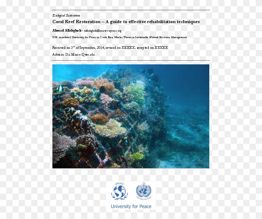 509x641 Pdf Marine Biology, Water, Sea, Outdoors HD PNG Download