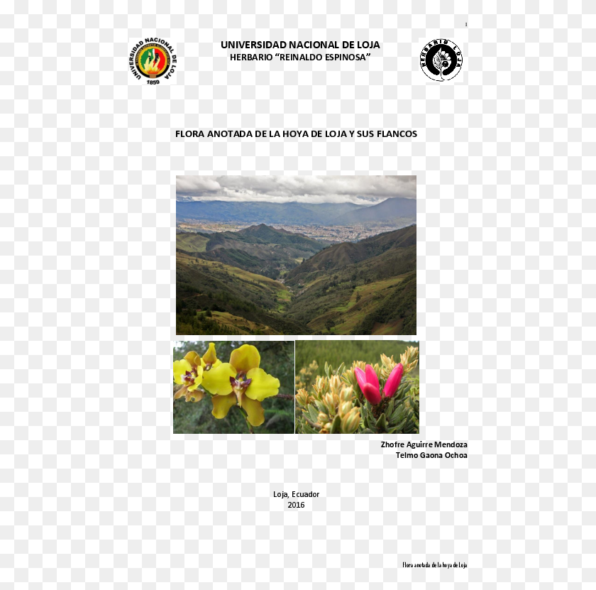 478x771 Pdf National University Of Loja, Plant, Outdoors, Flower HD PNG Download