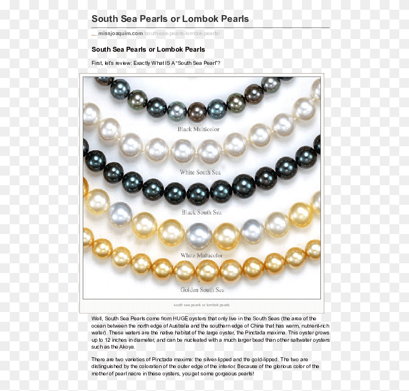 515x742 Pdf South Sea Pearls Colors, Jewelry, Accessories, Accessory HD PNG Download