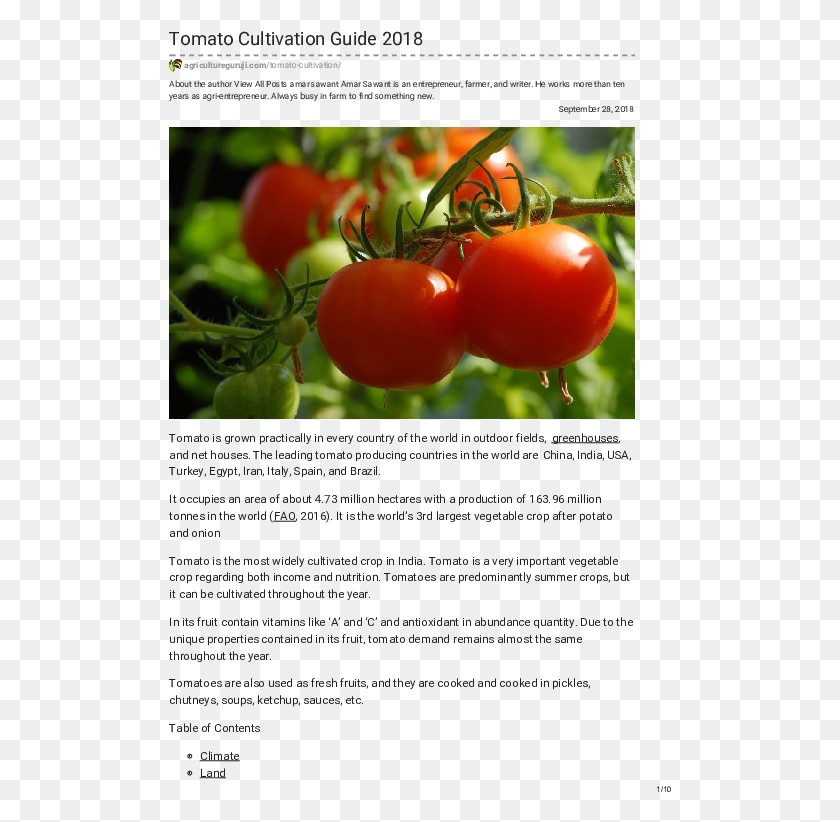 503x762 Pdf Tomato, Plant, Vegetable, Food HD PNG Download