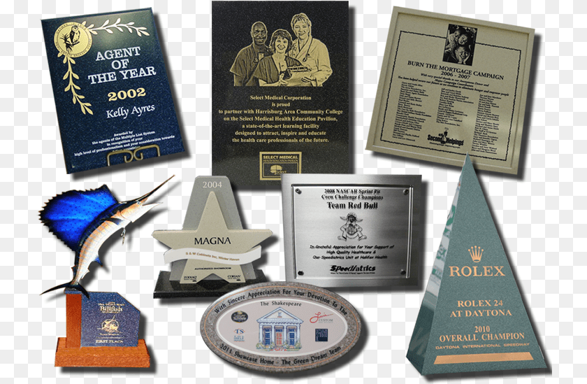 Pdm Products Philip Del Mare Inc Creative Plaques, Person, Animal, Sea Life, Fish PNG