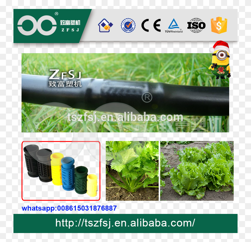 750x750 Pe Drip Irrigation Water Pipe With Inline Round Dripper Grass, Plant, Outdoors, Potted Plant HD PNG Download