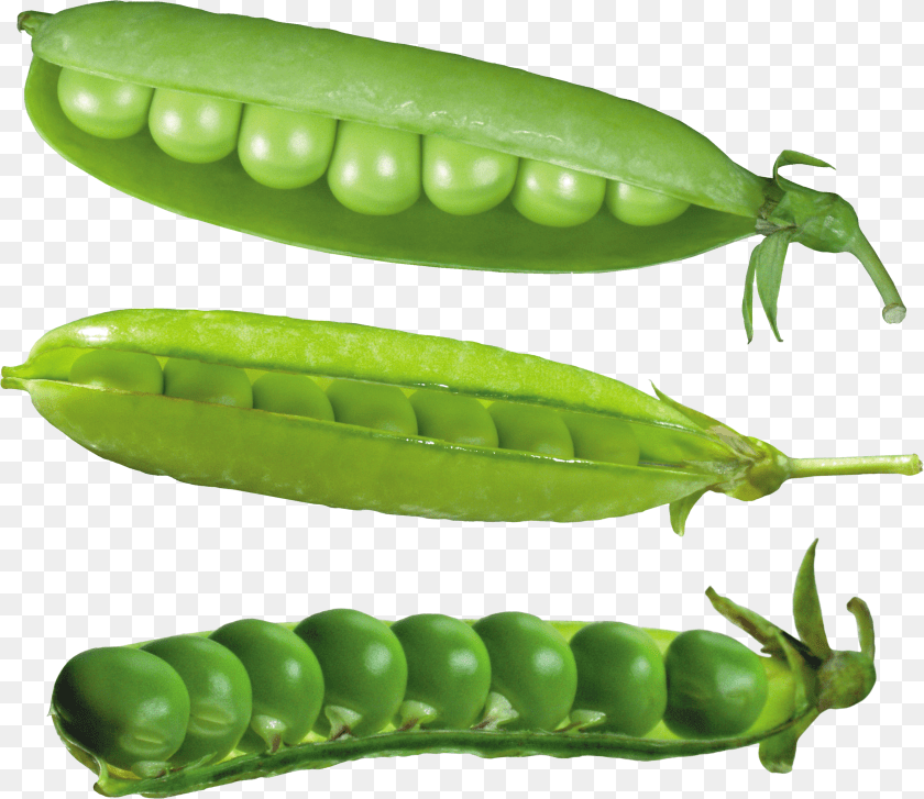 Pea PNG