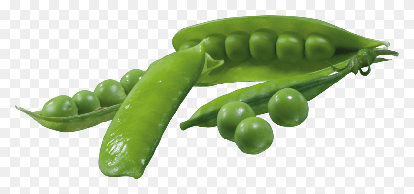 3704x1594 Pea Pods Picture Green Peas Vegetables HD PNG Download