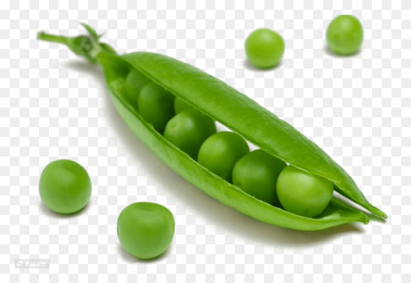 1081x720 Pea Transparent Image Single Garden Pea, Plant, Vegetable, Food HD PNG Download