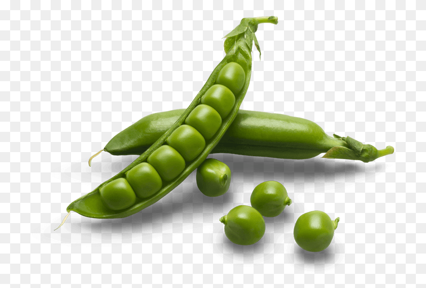 716x508 Pea Transparent Sugar Snap Peas, Plant, Vegetable, Food HD PNG Download