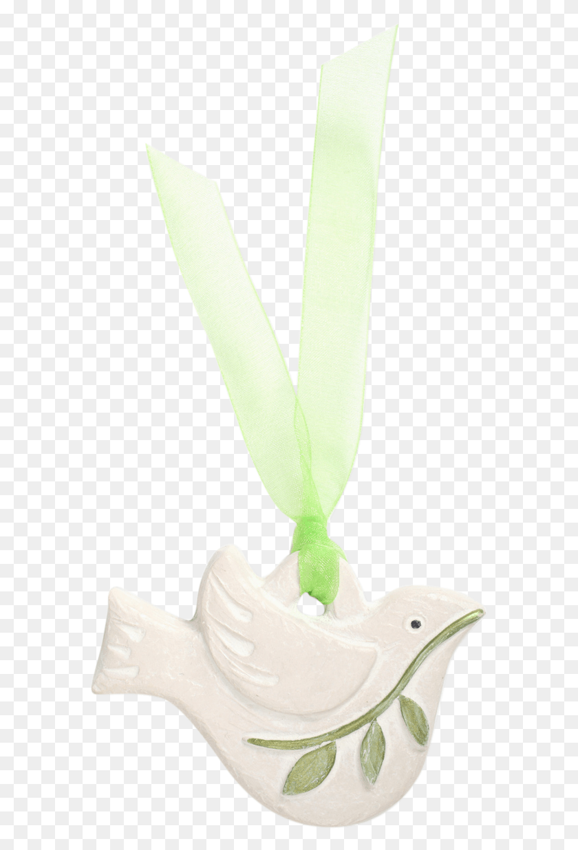 583x1176 Peace Dove Ornament Still Life Photography, Plant, Sprout, Flower HD PNG Download