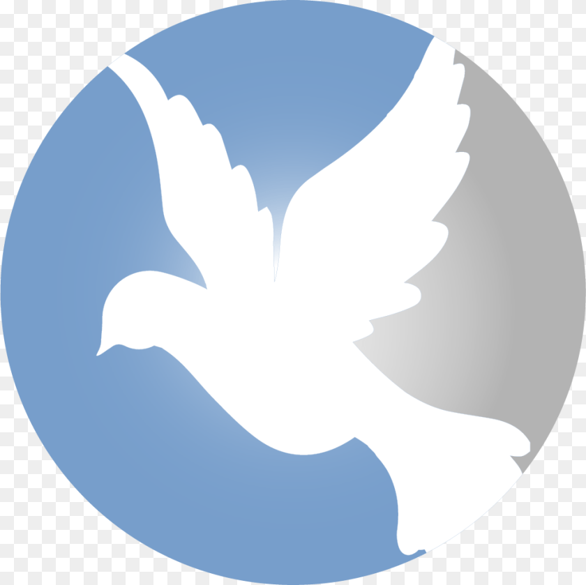 Peace Pigeon, Animal, Bird, Dove Clipart PNG