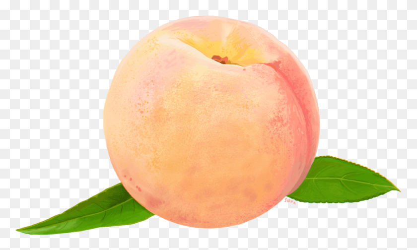1154x657 Peach, Plant, Fruit, Food HD PNG Download