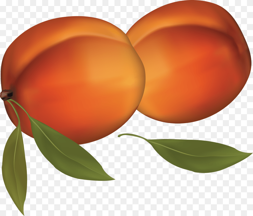Peach, Food, Fruit, Plant, Produce PNG