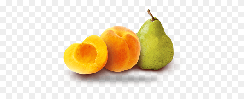 437x281 Peach And Pear, Plant, Fruit, Food HD PNG Download