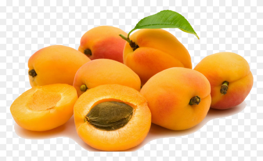 890x519 Peach Clipart Picture Apricot Seed, Plant, Fruit, Produce HD PNG Download