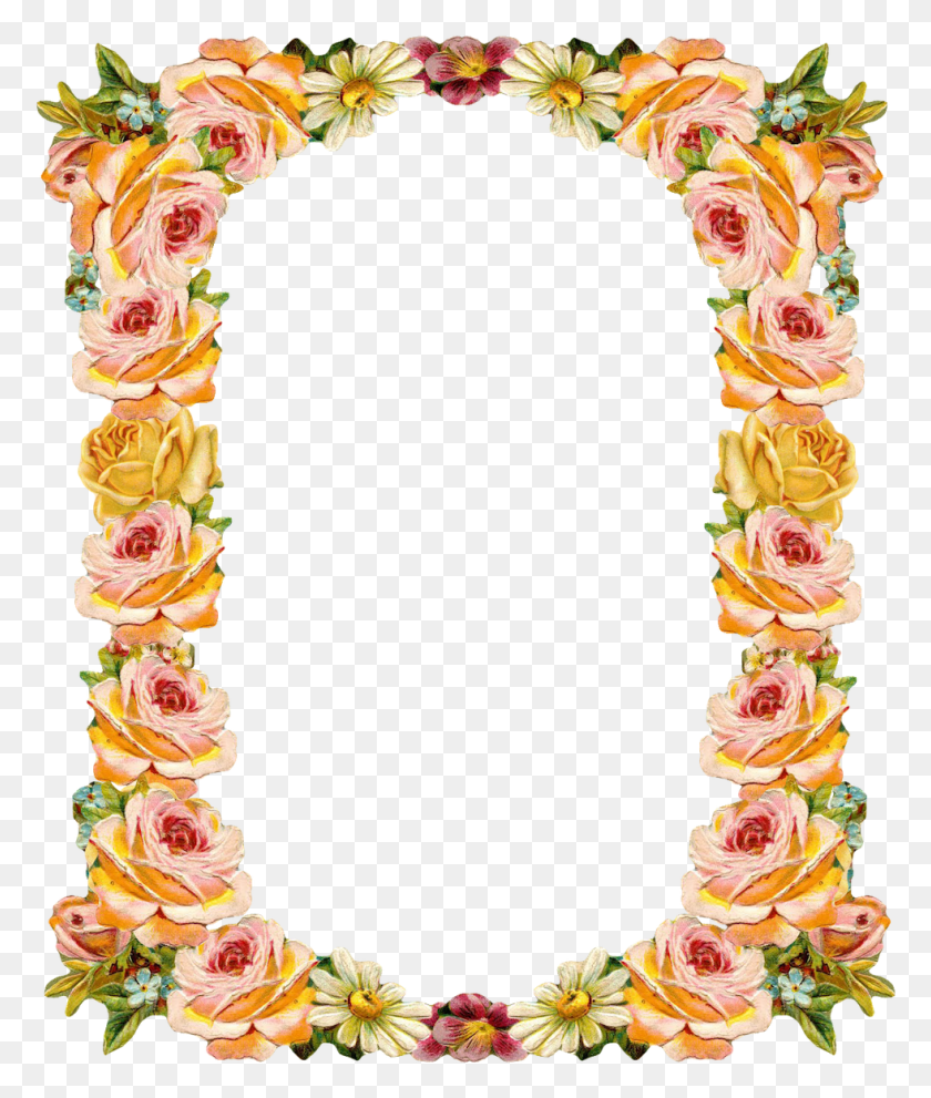 981x1171 Peach Colored Frame, Plant, Flower, Blossom HD PNG Download