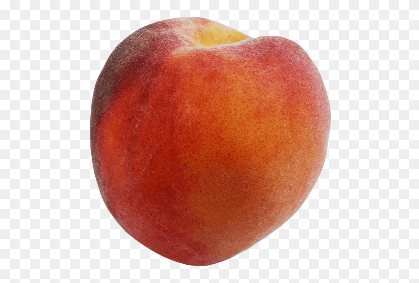 489x508 Peach Crop Expected To Be Better Than Last Nectarines, Plant, Fruit, Food HD PNG Download