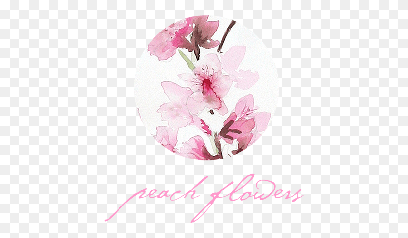 411x431 Peach Flowers Leadership, Plant, Flower, Blossom HD PNG Download