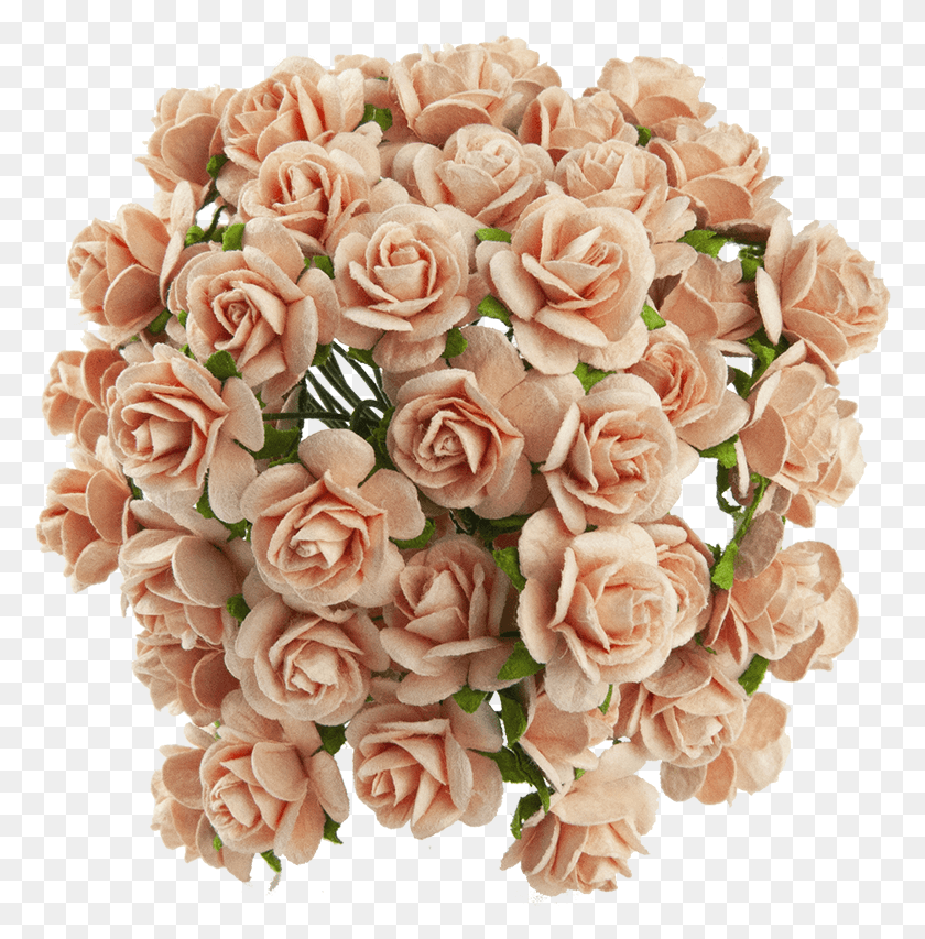 778x793 Персиковый Шелковица Бумага Открытые Розы, Растение, Цветок, Цветение Hd Png Скачать