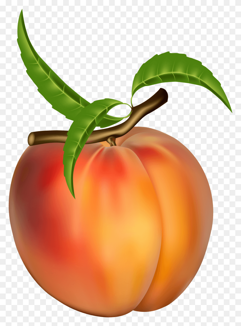 2999x4129 Peach Transparent Clipart Picture Peach Fruit, Plant, Food, Produce HD PNG Download