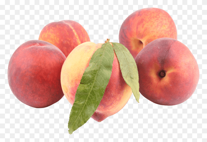 3000x1983 Peaches Peaches, Plant, Fruit, Food HD PNG Download