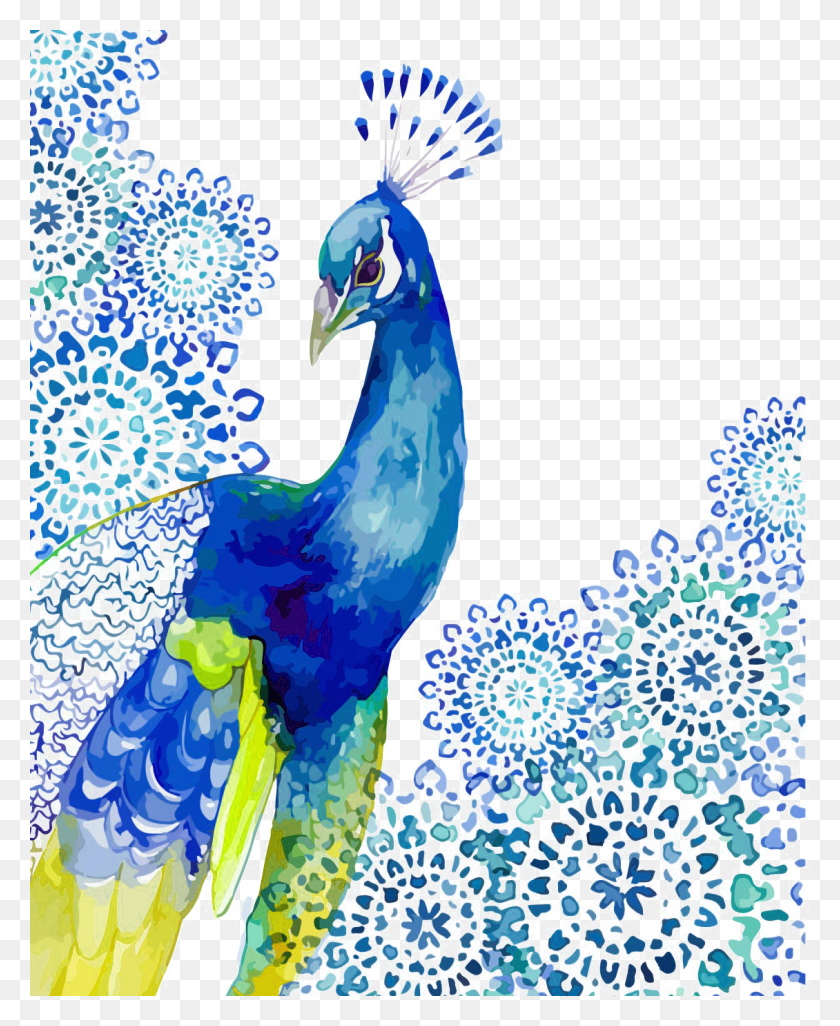 1130x1400 Peacock Drawing Fire, Bird, Animal HD PNG Download