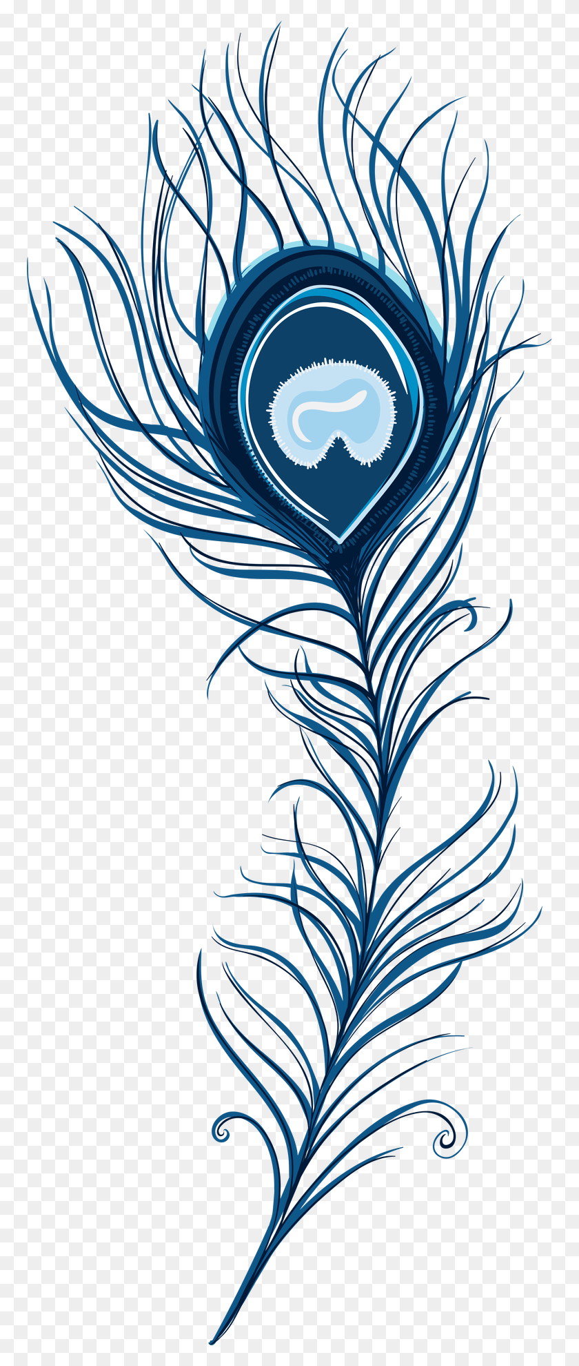 762x1919 Peacock Feather Clipart Pic Blue Peacock Feather, Graphics, Symbol HD PNG Download