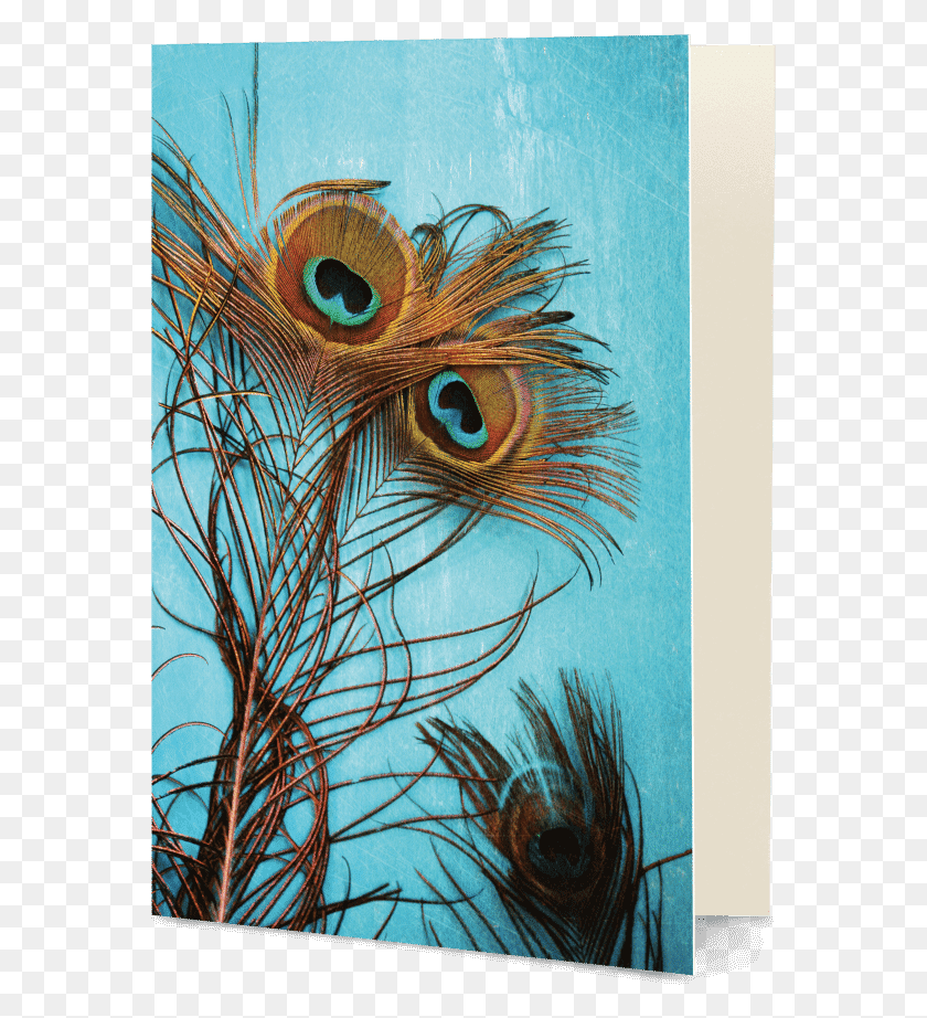 567x862 Peacock Feather Cover Redmi Note Pro, Bird, Animal HD PNG Download