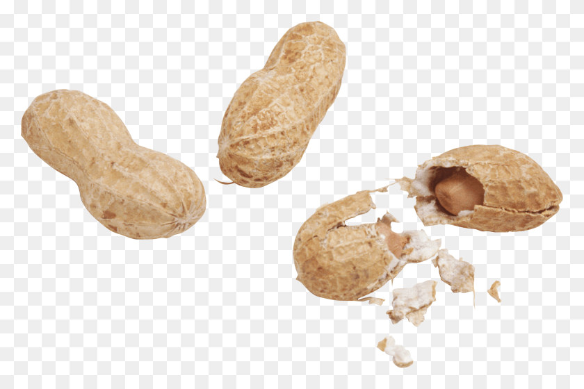2375x1523 Peanut Peanut, Bread, Food, Plant HD PNG Download