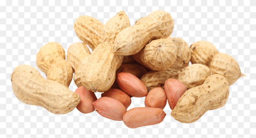 1860x935 Peanut Transparent Background Peanuts, Plant, Nut, Vegetable HD PNG Download
