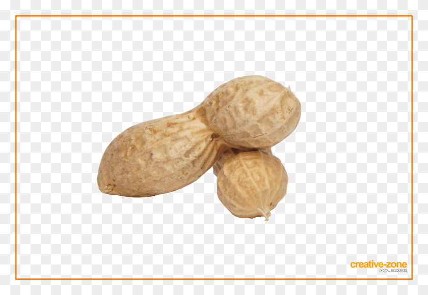 6030x4020 Peanuts Arachis In Shell Peanut HD PNG Download