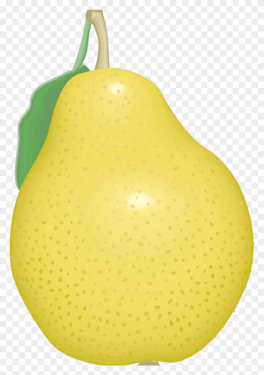 788x1144 Pear Cartoon Pears Free Hq Clipart Asian Pear, Plant, Fruit, Food HD PNG Download