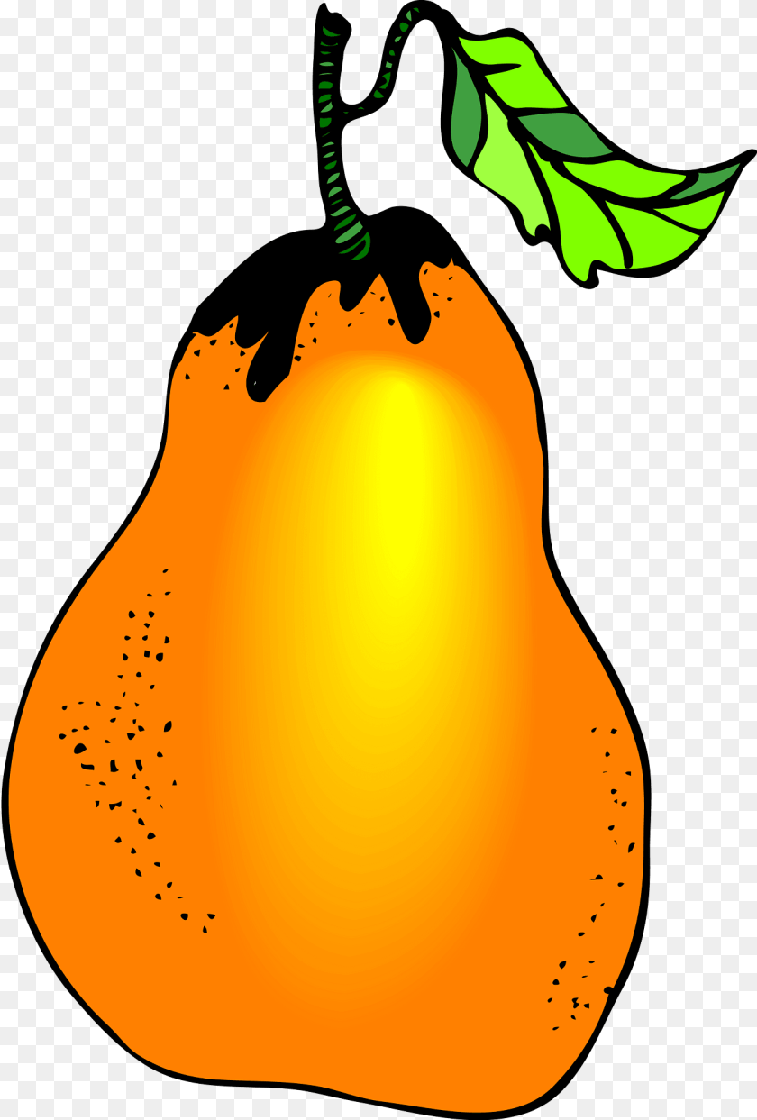 1297x1920 Pear Food, Fruit, Plant, Produce Clipart PNG