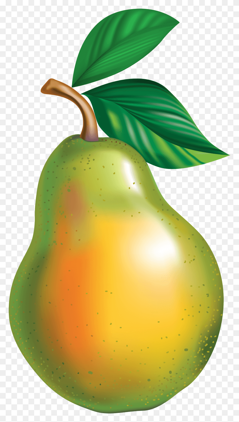 2194x4000 Pear Clipart Picture Pear Animation, Plant, Fruit, Food HD PNG Download