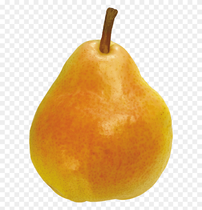 600x814 Pear Free Pear, Plant, Fruit, Food HD PNG Download