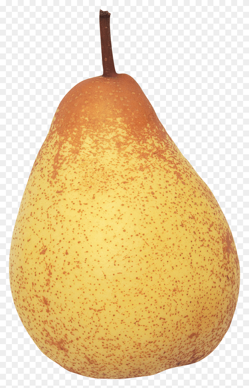 1688x2702 Pear Image Grusha HD PNG Download