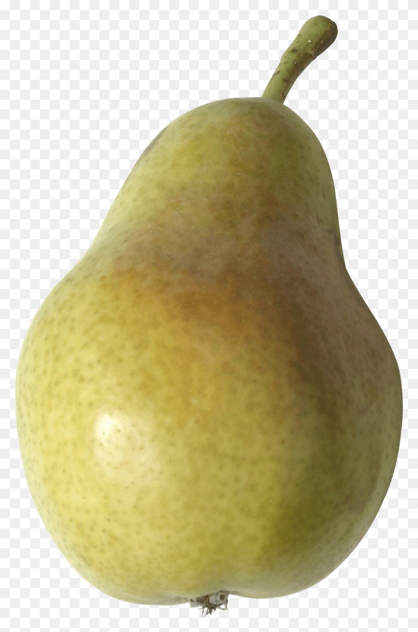 1377x2134 Pear Image Pear, Fruit, Plant, Food HD PNG Download
